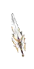 img_6a8353727fa27.png