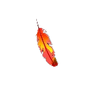 img_6a9c1bcb959ac.png