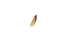 img_6aa03e6708f5a.png